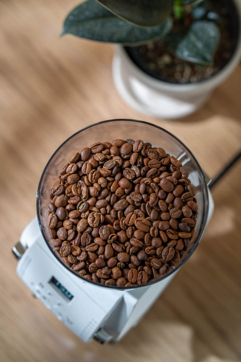 baratza Vario™ W+ coffee grinder, with coffee beans inside