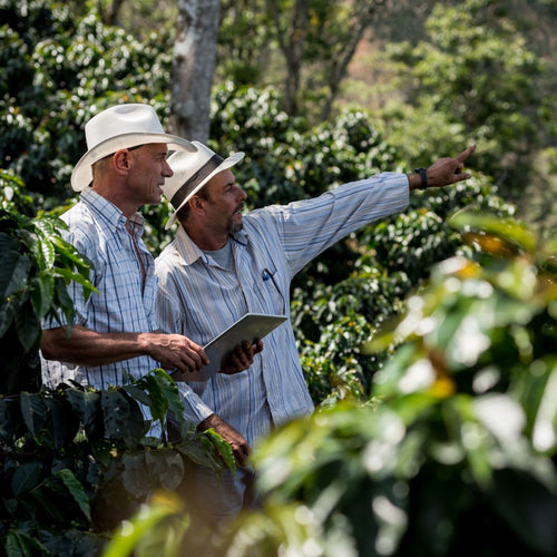 JUMARP cooperative members working together in Peru