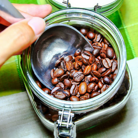 Glass jar filled with coffee beans and a metal scoop on a green and white background