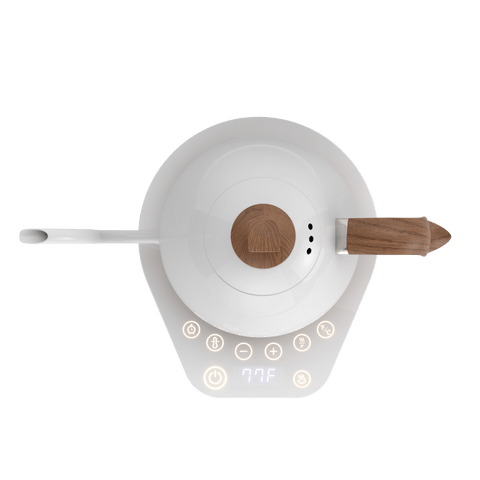 Artisan Electric Gooseneck Kettle