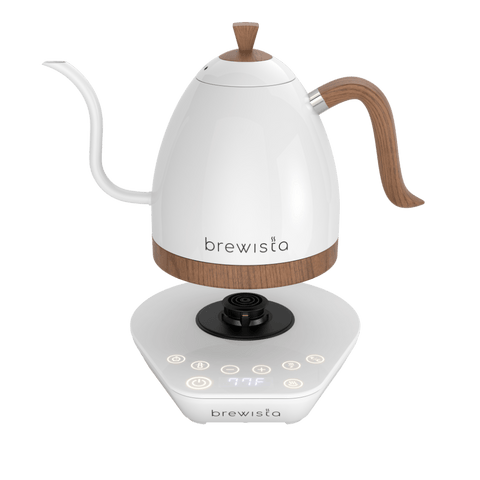 Artisan Electric Gooseneck Kettle