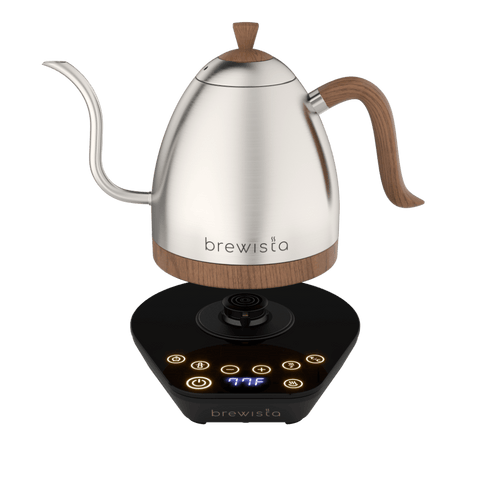 Artisan Electric Gooseneck Kettle