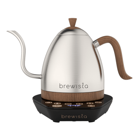 Artisan Electric Gooseneck Kettle