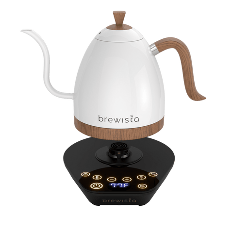 Artisan Electric Gooseneck Kettle