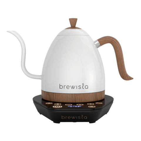 Artisan Electric Gooseneck Kettle