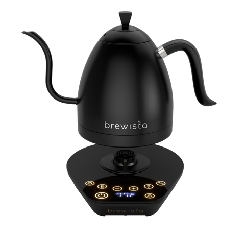 Artisan Electric Gooseneck Kettle