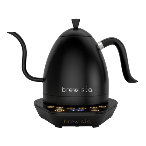 Artisan Electric Gooseneck Kettle