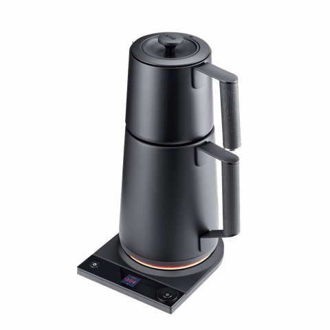 Black electric kettle on a gray background