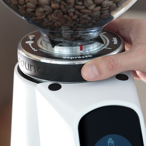 Fiorenzato AllGround All-Purpose Coffee Grinder in White showing coffee beans being ground.