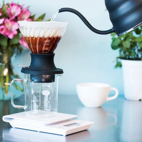 Hario Switch Immersion Coffee Dripper 02 – Glass | The Ultimate Hybrid Brewer