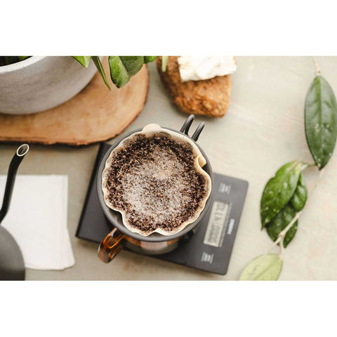 Hario V60 Metal Coffee Dripper 02 - Black with a plant and bread on a table