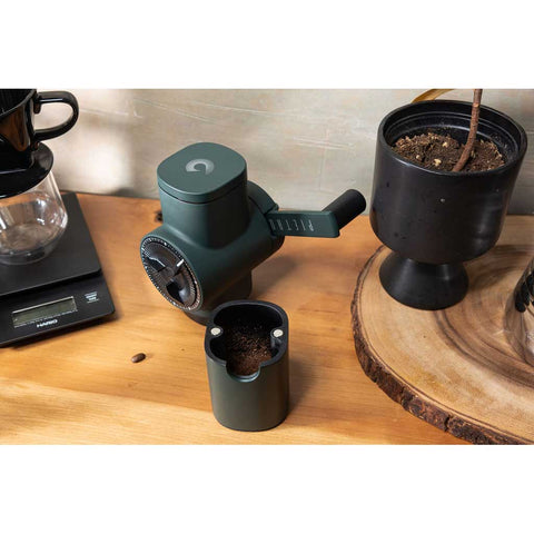Fiorenzato Pietro Pro Brewing Manual Coffee Grinder in Green — Filter-Focused Hand Grinder